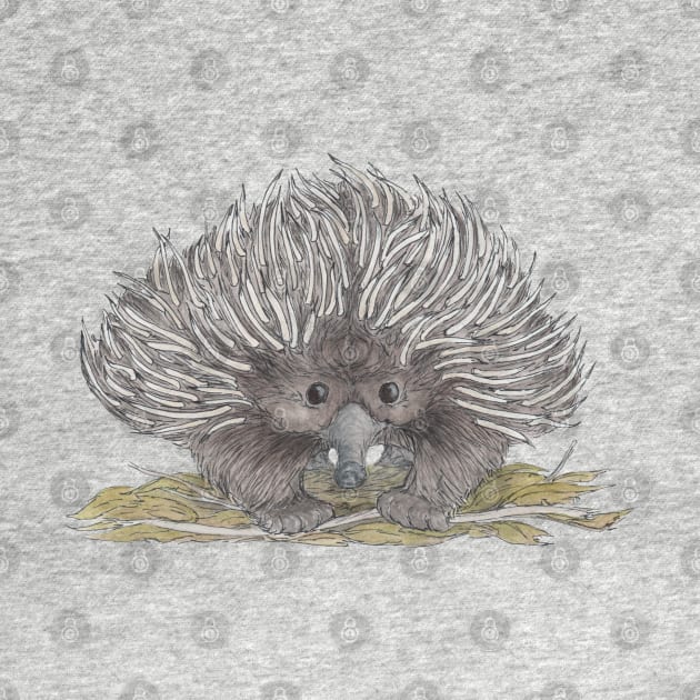 Echidna by AussieLogic